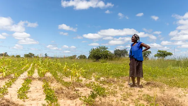 Woman standing in a field of plants.