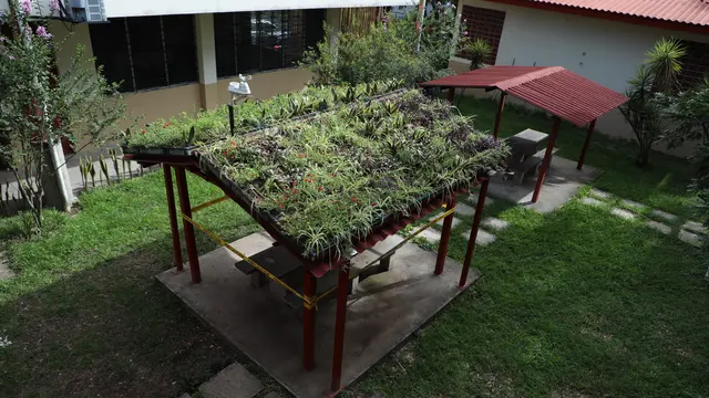 A garden area with a structure with vegetation on its roof.