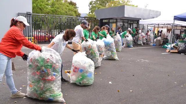 A group of people forming a line, handing bags of garbage to each other.