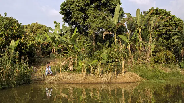 A woman walks on the edge of a river. There are trees behind her.