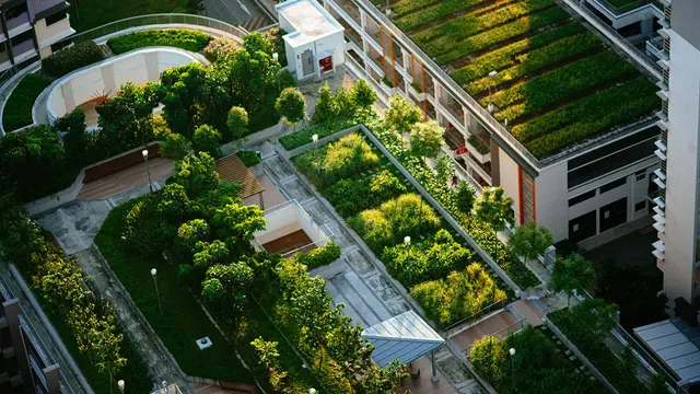 Green urban space