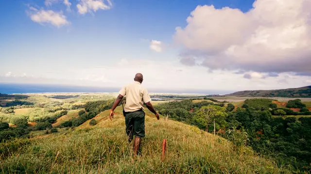Image of person standing at the top of a hill looking into the distance in Mauritius.