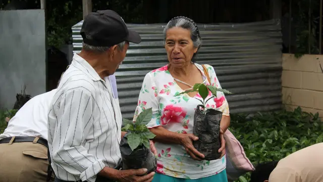 Two people holding plants and discussing.