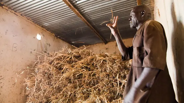 Farmer standing in from of mountain of dry hay, gesticulating.