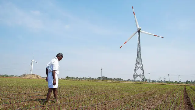 A farmer looks down as his rice crop starts to grow in a large field, with a wind turbine in the background.