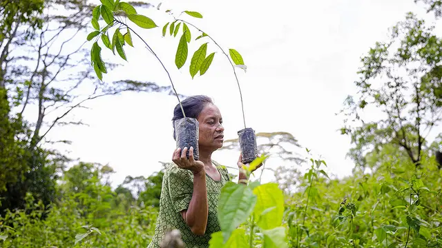 A woman farmer in a field carries a small plant in each hand at shoulder height.