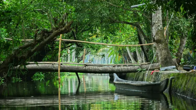 Mangrove forest growing alongside a river with a boat from local community members on it.
