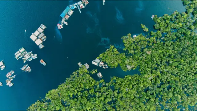 Aerial view of houses on body of water.