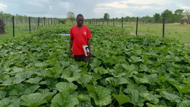 Farmer standing in a his field where he is growing pumpkins.