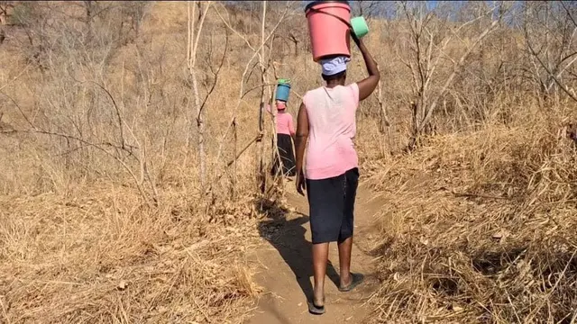 A woman balancing a bucket of water on her head in pictured from behind as she walks through a field. 