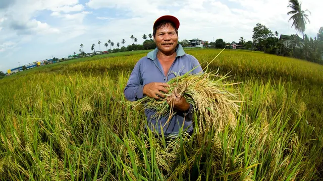 Farmer from Thailand standing in a field with his crops.