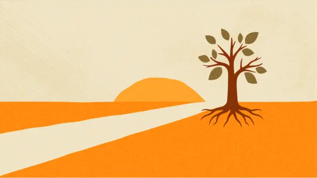 A direct path to lone tree growing in an open landscape under a golden sun, symbolising the long-term, nurtured growth enabled by patient and direct financial support.