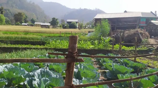 The landscape in which the Chabeli Farmer Group operates.