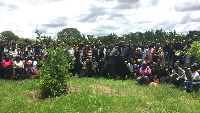A group photo on some grass, with some people behind a bush.