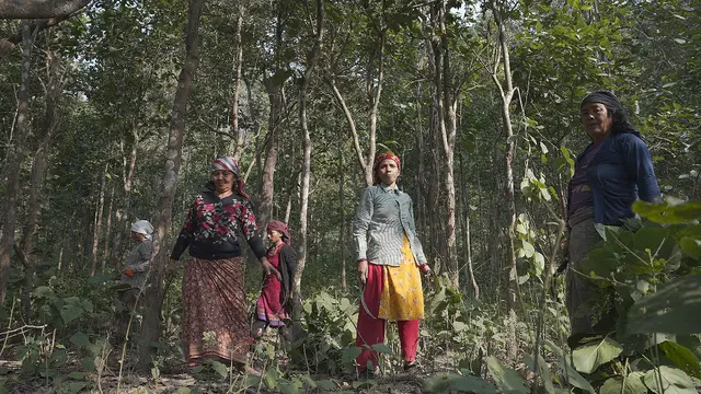 Women stand amid a forest, surrounded by trees.