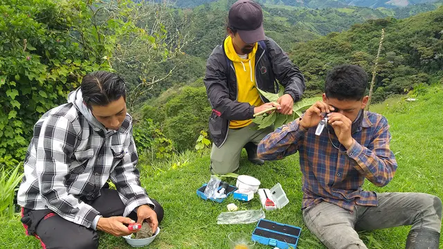 Three people use instruments and hold them to their eyes on the top of a hill, with forest behind.