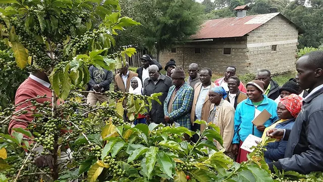 A group of men and women gather around and listen intently to a man with his hand on a small tree's trunk. The man is slightly obscured by the tree. 