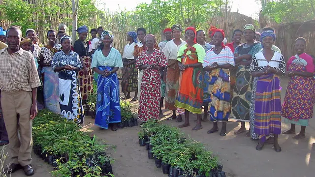 People gather around plants that they are displaying proudly.