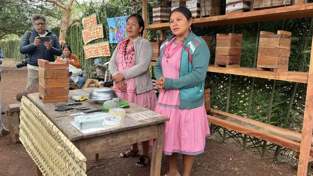 Members of the San Lorenzo de Lomerío Indigenous community demonstrating in Santa Rita de Monteverde how they transfer native bee colonies from fallen logs to specially designed hives.