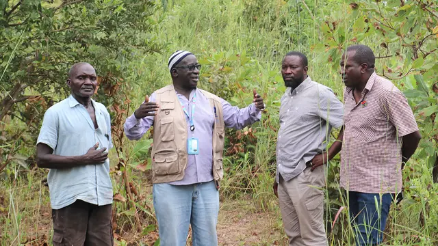 Three men on a path in a forest listen to another men who is talking and gesticulating.