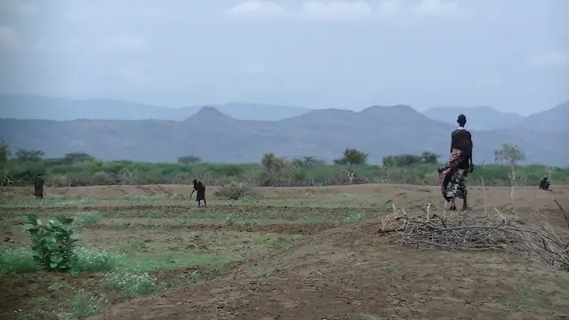 Amid an arid landscape with mountains in the background, several people are pictured holding bundles of branches.