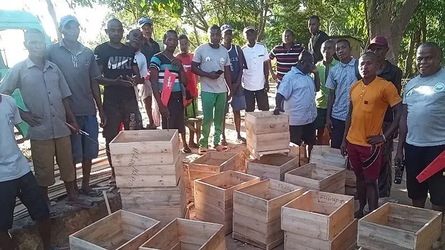 Improved beehives locally produced by farmers.
