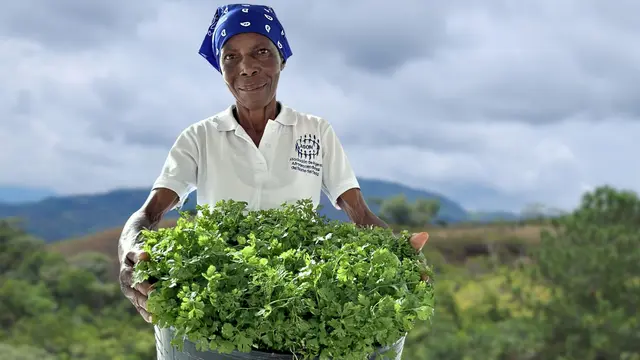 Woman outdoors holding a large container overflowing with freshly harvested cilantro/coriander.