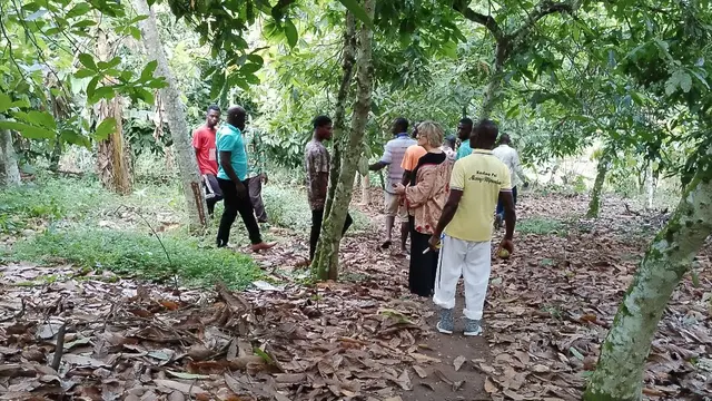 A group of people gather around a tree in a forest.