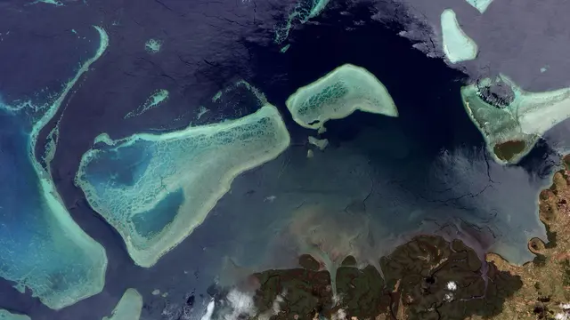 A satellite image of a green island surrounded by blue water, with a dark green expanse showing the location of a mangrove forest.