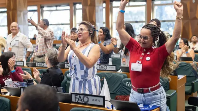 People in a plenary room cheering and clapping.