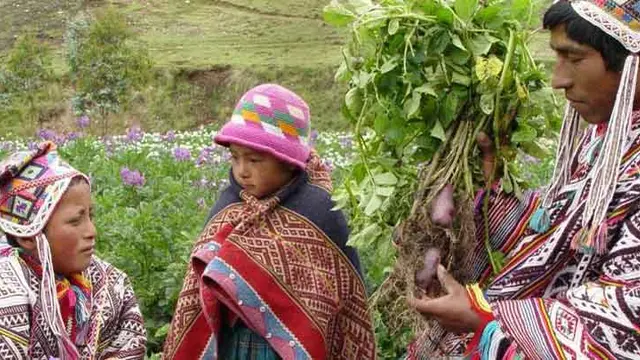 Farmers sit in a field sharing potatoes in the Potato Park, Peru.