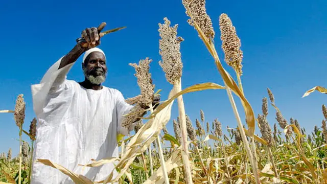 Does the development community focus too strongly on smallholders? (Credit: Flickr/United Nations Photo)