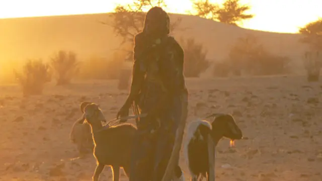 A woman stands with three goats in shadow amid a dusty terrain