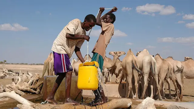 Pastoralists pull water from a well near Denan in the Somali Region of Ethiopia for their camels. (Photo: Andrew Heavens, Creative Commons via Flickr)