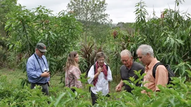 Seu Amilton showing his practices at the forest dialogue in Brazil
