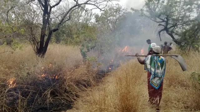 Members of Likawage Village Natural Resources Committee use beaters to prevent a lit fire from burning backwards towards farms (Photo: Deogratias Ndossi)