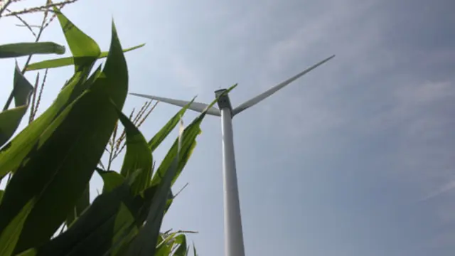 Renewable energy has a place to play in providing energy access to small farms (Photo via Google reuse rights))