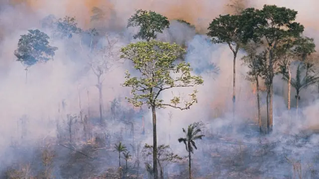 Extreme events like forest fires, droughts and storms threaten sustainable development. (Photo: Global Water Partnership)