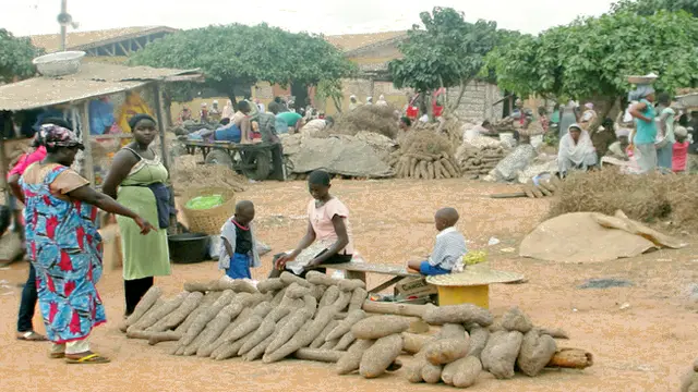 Ejura Market in Ghana is an important centre for farmers selling their yam crops (Photo: IITA)