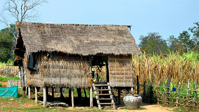 A farmer's house and sugar cane field in Cambodia, where there is concern about large-scale investment in sugar plantations driving local people off the land (Photo: Brian Hoffman, via Creative Commons)