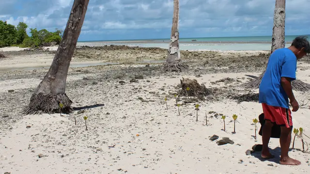 The Pacific island nation of Kiribati consists of 33 atols and reef islands. Here, adaptation includes coastal protection measures such as mangrove re-planting, as well as strengthening laws to reduce soil erosion and population settlement planning (Photo: AusAID)