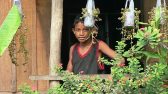 About the architecture of aid