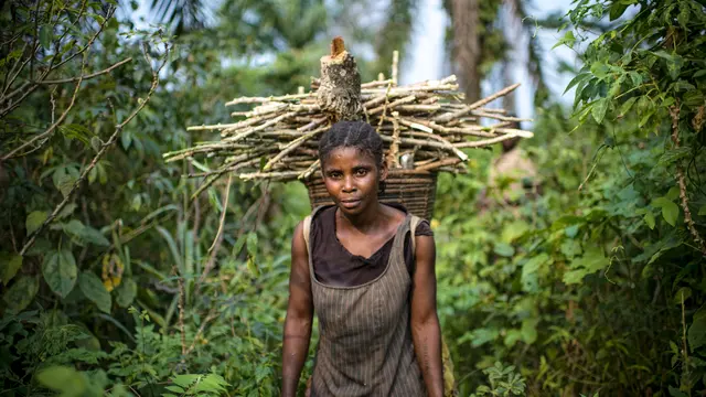 A woman carries firewood in the rainforest