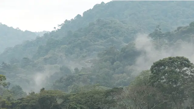 Mist over the Bwindi Impenetrable National Park in Uganda (Photo: Brian Harries, Creative Commons, via Flickr)