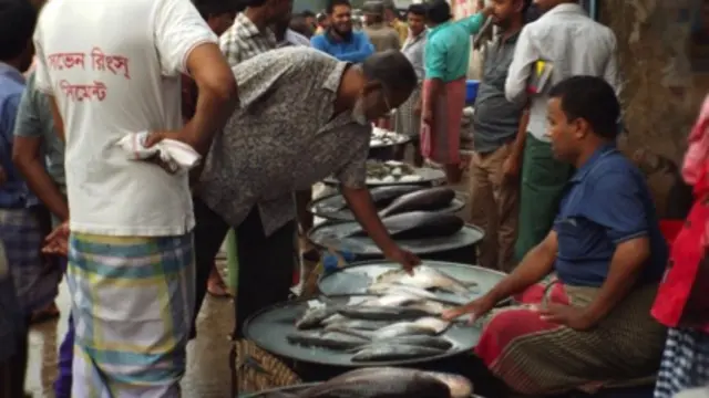 Hilsa fish at a wholesaler fish market in Dhaka (Photo: Ina Porras/IIED)