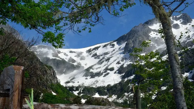 The Las Trancas Valley in Chile, November 2014 (Photo: UICN / Marcelo Vildósola Garrigó)