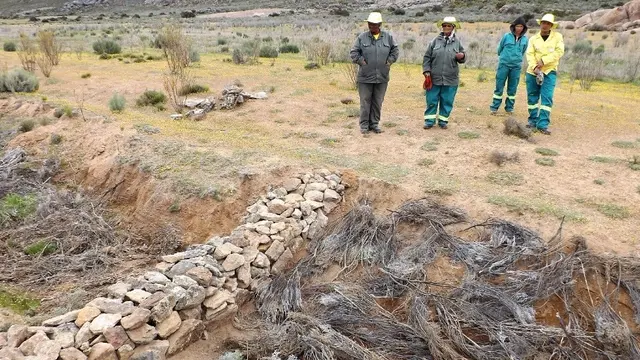 A stone gabion constructed to control erosion across a gully in the Namaqualand region. (Photo: Halcyone Muller / Conservation South Africa)