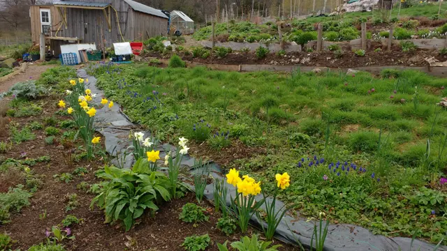 A small farm near the Scottish town of Crief 