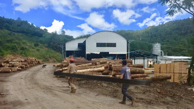 A community-owned Mexican sawmill in Oaxaca (Photo: Duncan Macqueen)