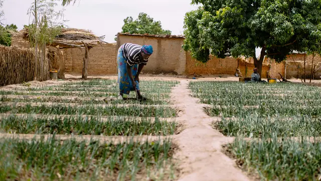 Our annual report highlights pathways to change (Photo: Olivier Girard/CIFOR, Creative Commons via Flickr)